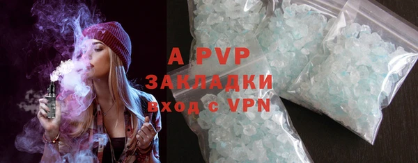 гашик Бородино