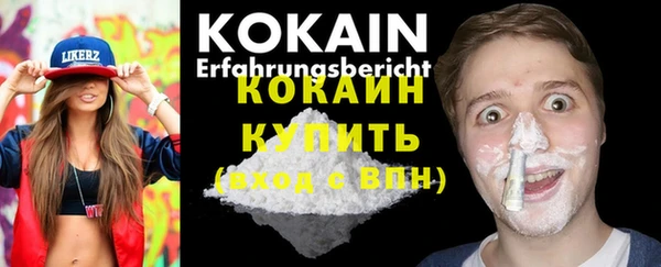 гашик Бородино