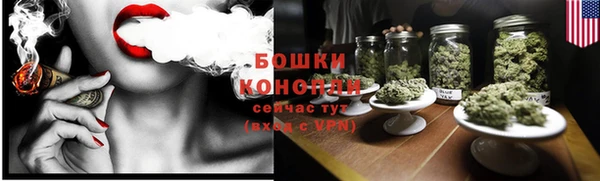 гашик Бородино