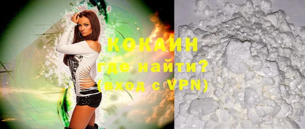 гашик Бородино