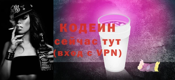 гашик Бородино