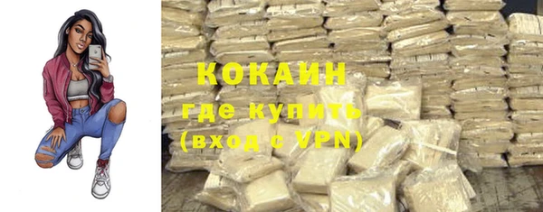гашик Бородино