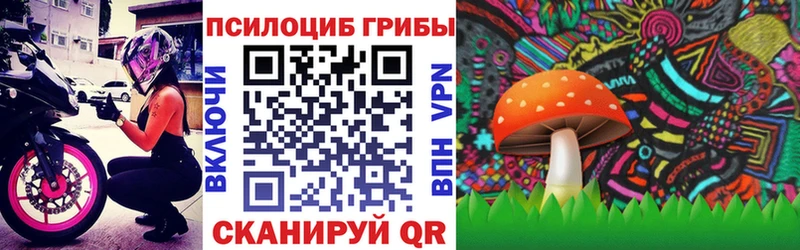 Псилоцибиновые грибы Cubensis  Купить где  Курганинск 